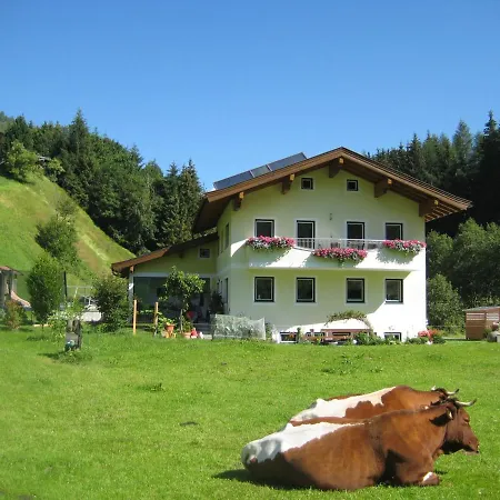 Apartment Ronacher